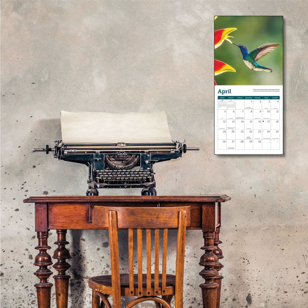 Hummingbirds 2026 Mini Wall Calendar Fourth alternate image