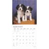 image Puppy Pals Plato 2025 Wall Calendar Second Alternate Image width=&quot;1000&quot; height=&quot;1000&quot;