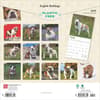 image English Bulldogs 2025 Wall Calendar