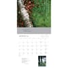 image Tao 2025 Wall Calendar Alt4