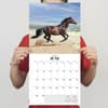 image Horses 2025 Wall Calendar