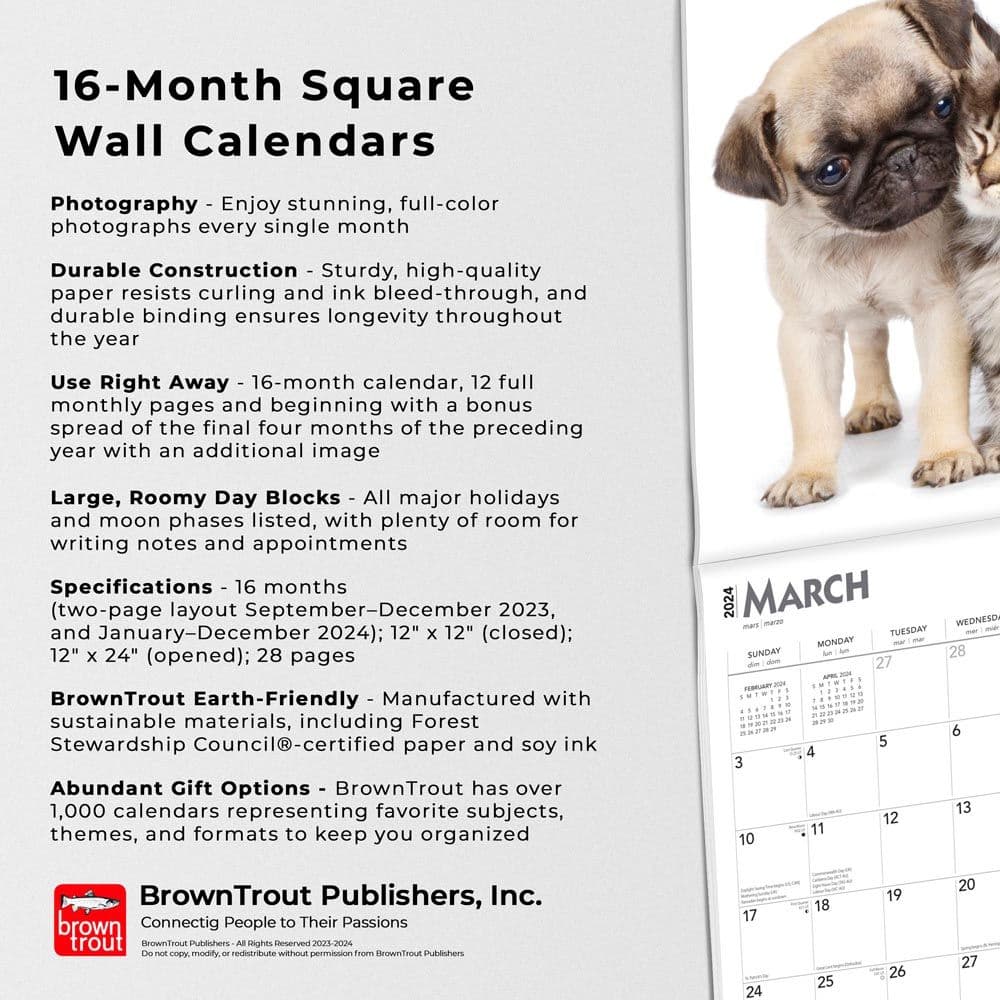 Kittens &amp; Puppies 2024 Wall Calendar Alternate Image 4