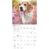 image Beagles 2026 Mini Wall Calendar Third Alternate Image