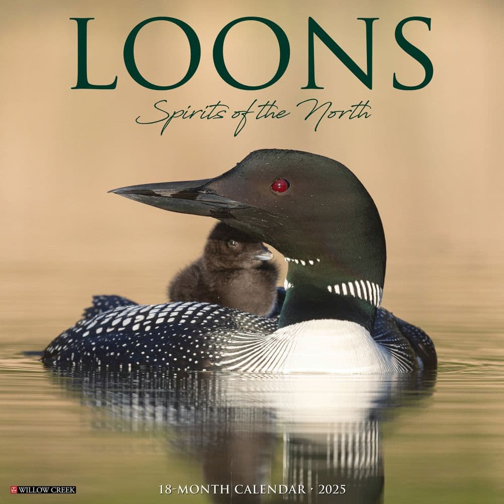 Loons 2025 Wall Calendar  Main Image