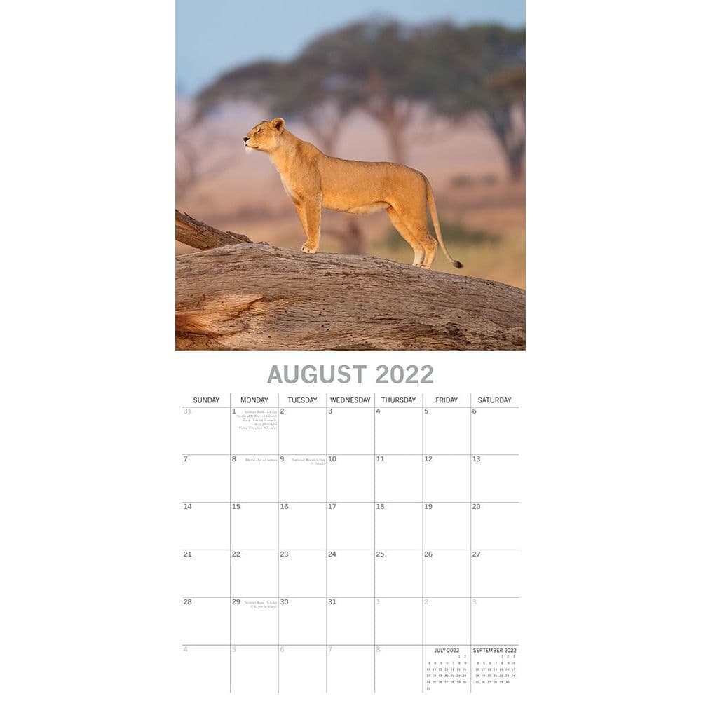 Safari 2022 Wall Calendar