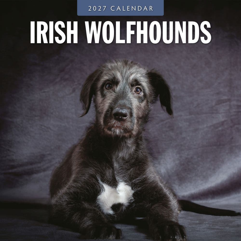 Irish Wolfhounds 2027 Wall Calendar Main Product Image