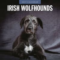 image Irish Wolfhounds 2027 Wall Calendar Main Product Image