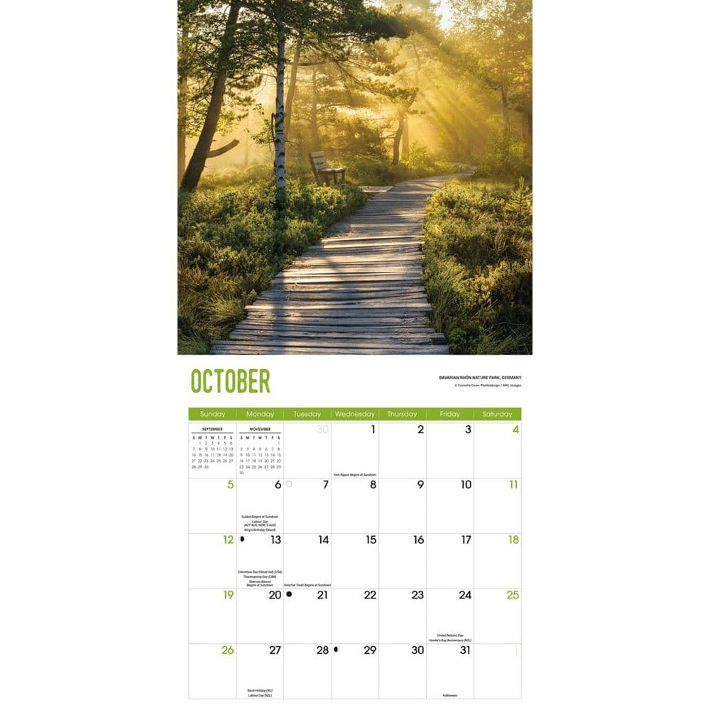 Pathways 2025 Wall Calendar Fourth Alternate Image width=&quot;1000&quot; height=&quot;1000&quot;