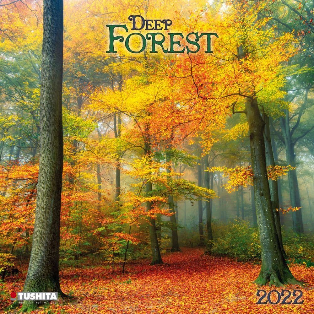 Deep Forest 2022 Wall Calendar