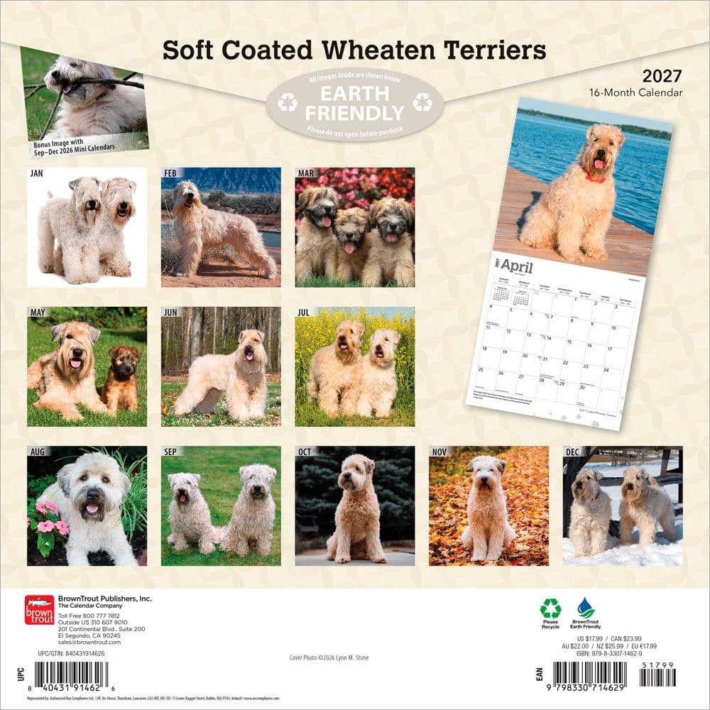 Wheaten Terriers Soft Coated 2027 Wall Calendar First Alternate Image