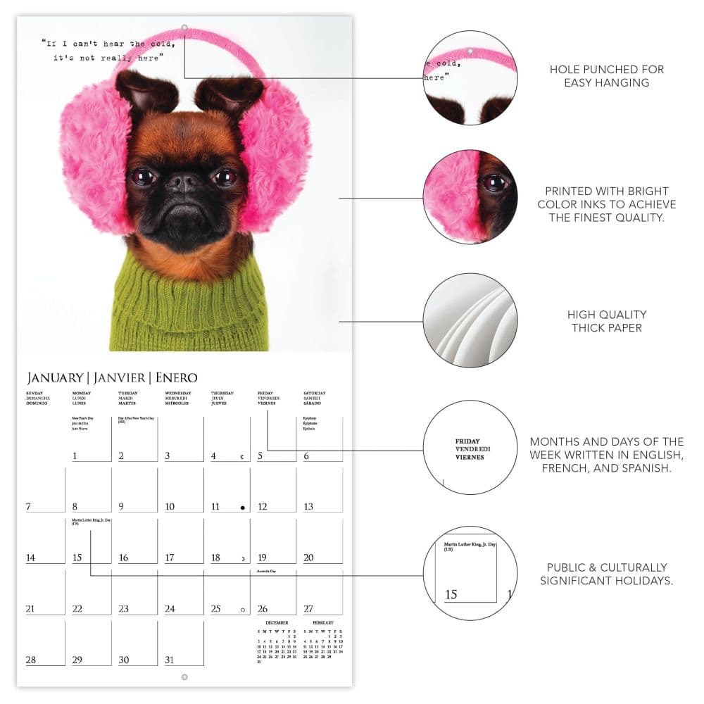 Pawparazzi 2025 Wall Calendar Alt3