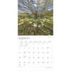 image Arkansas Wild and Scenic 2025 Wall Calendar