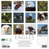 image Eagles 2025 Wall Calendar First Alternate Image width=&quot;1000&quot; height=&quot;1000&quot;