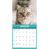 image Cattitudes 2026 Wall Calendar Second Alternate Image
