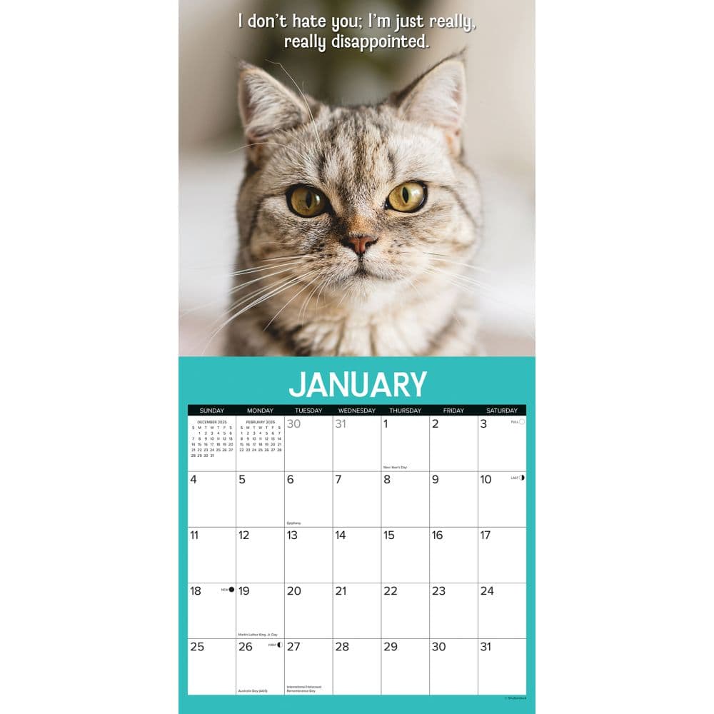 Cattitudes 2026 Wall Calendar Second Alternate Image