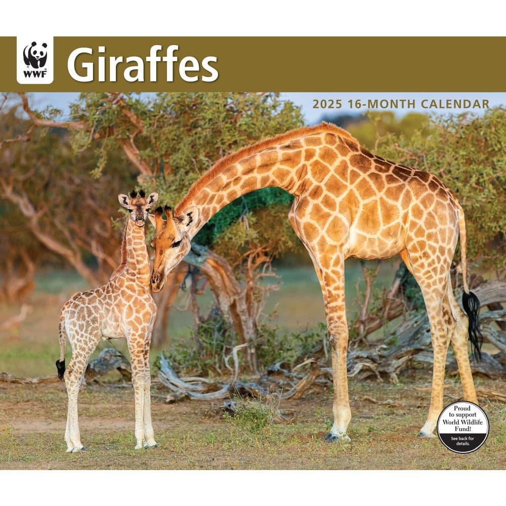 Giraffes WWF 2025 Wall Calendar