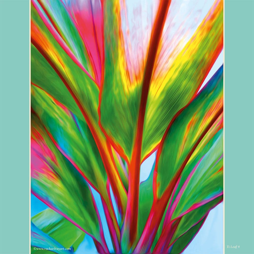 Experience Aloha 2027 Deluxe Wall Calendar Fourth Alternate Image