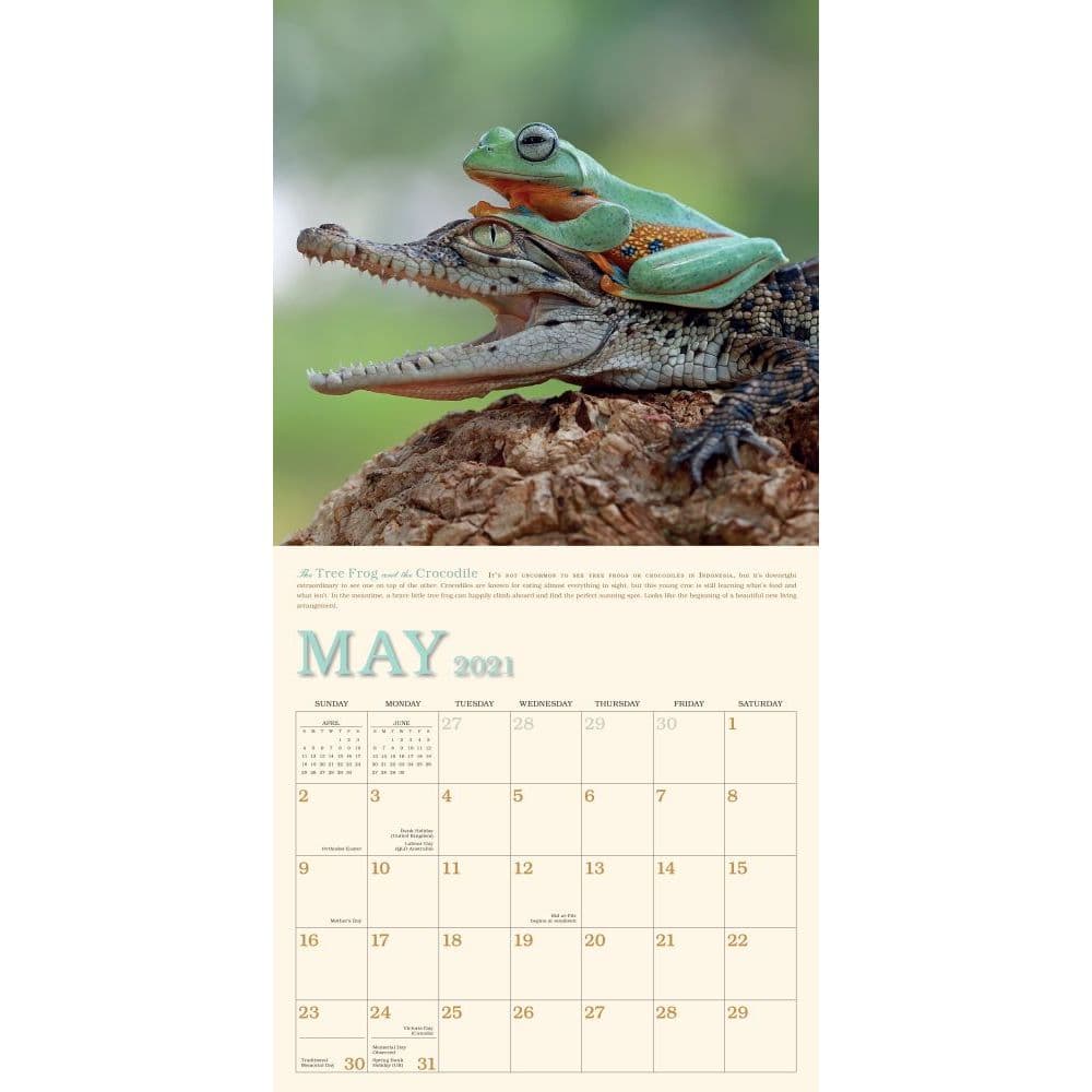 unlikely-friendships-wall-calendar-calendars