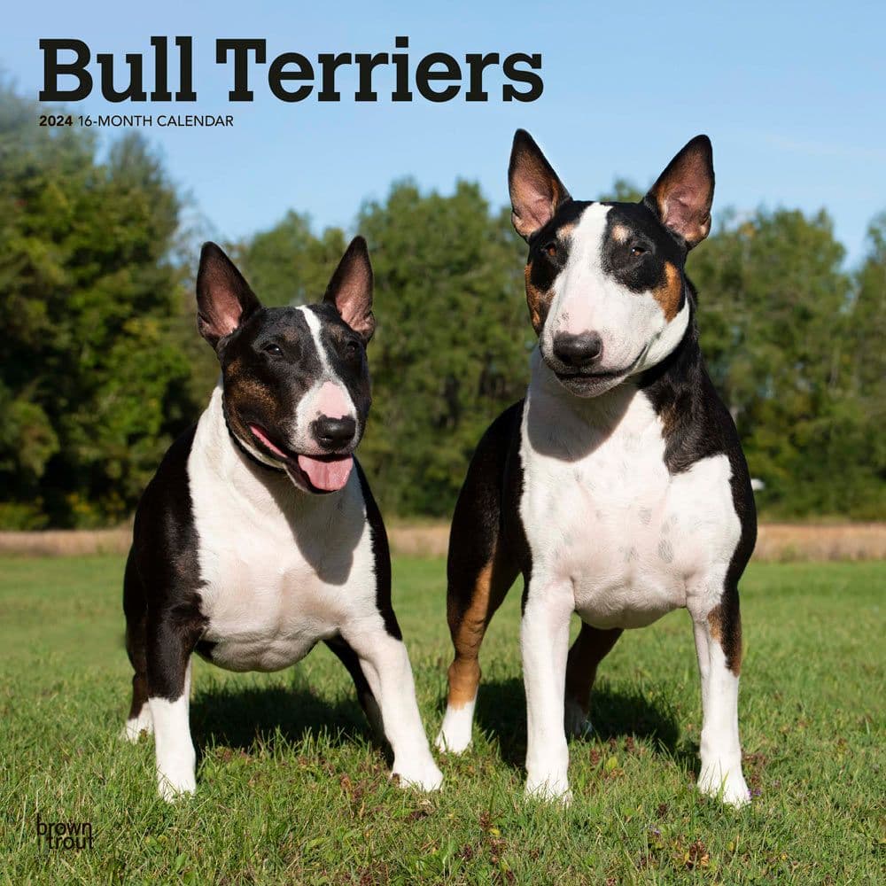 Bull Terriers 2024 Wall Calendar Main Product Image width=&quot;1000&quot; height=&quot;1000&quot;