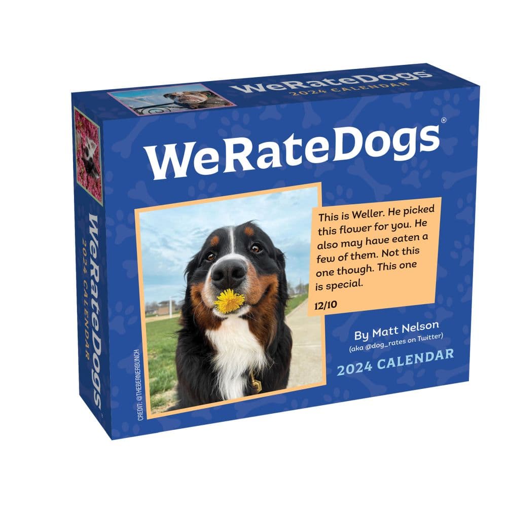 We Rate Dogs 2025 Desk Calendar