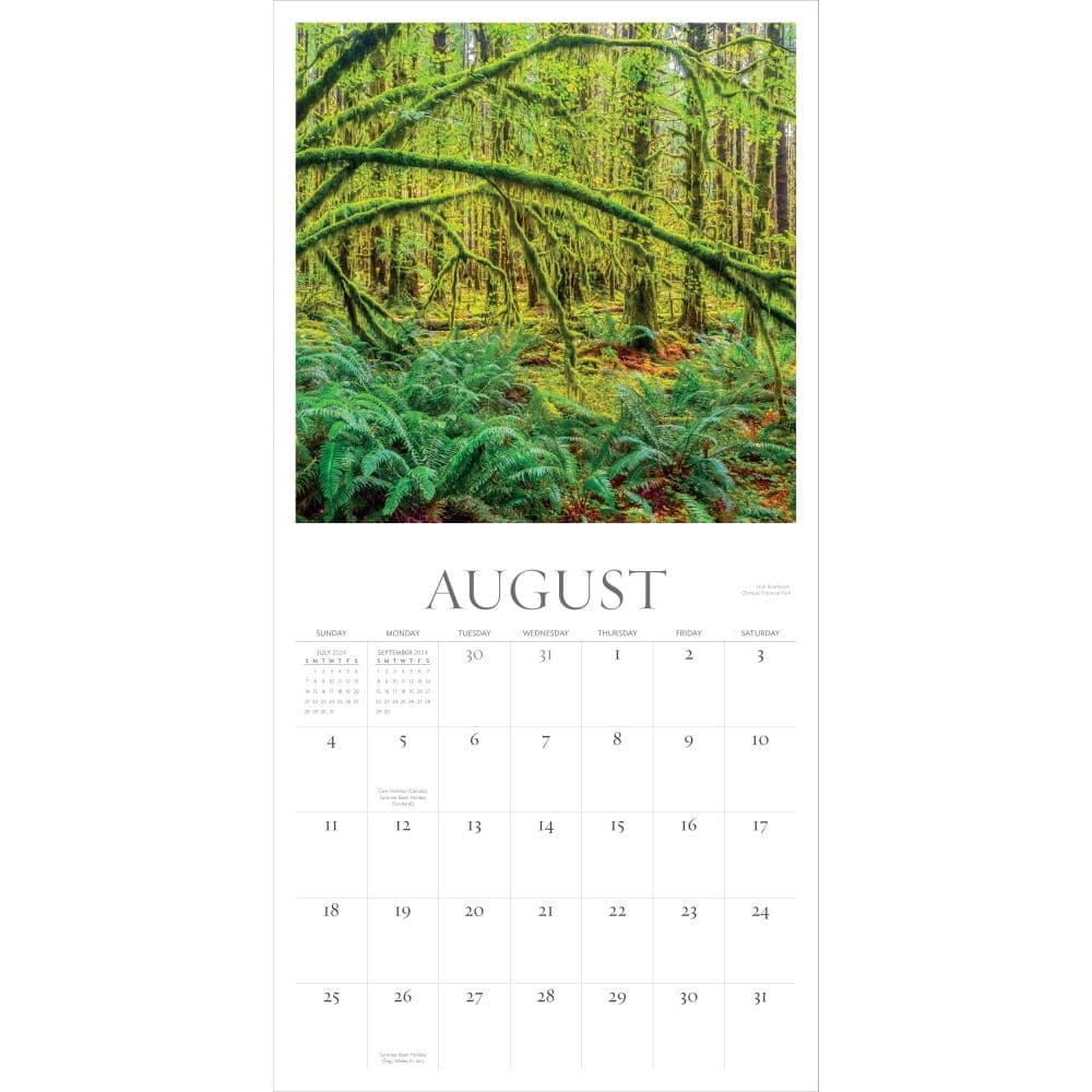 Washington Evergreen 2025 Wall Calendar