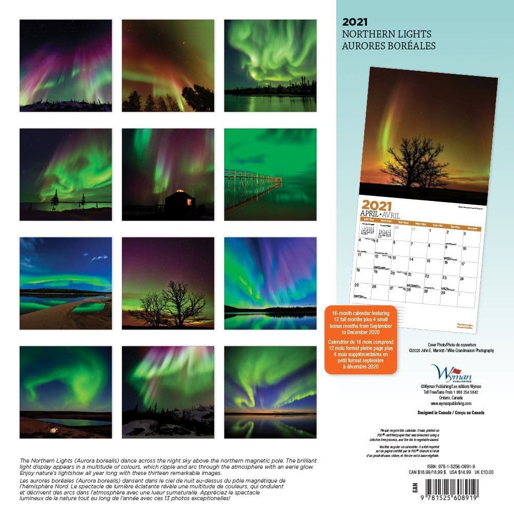 Brown Trout + Aurora Borealis The Magnificent Northern Lights 2022 Wall