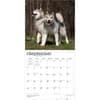 image Alaskan Malamutes 2027 Wall Calendar Third Alternate Image