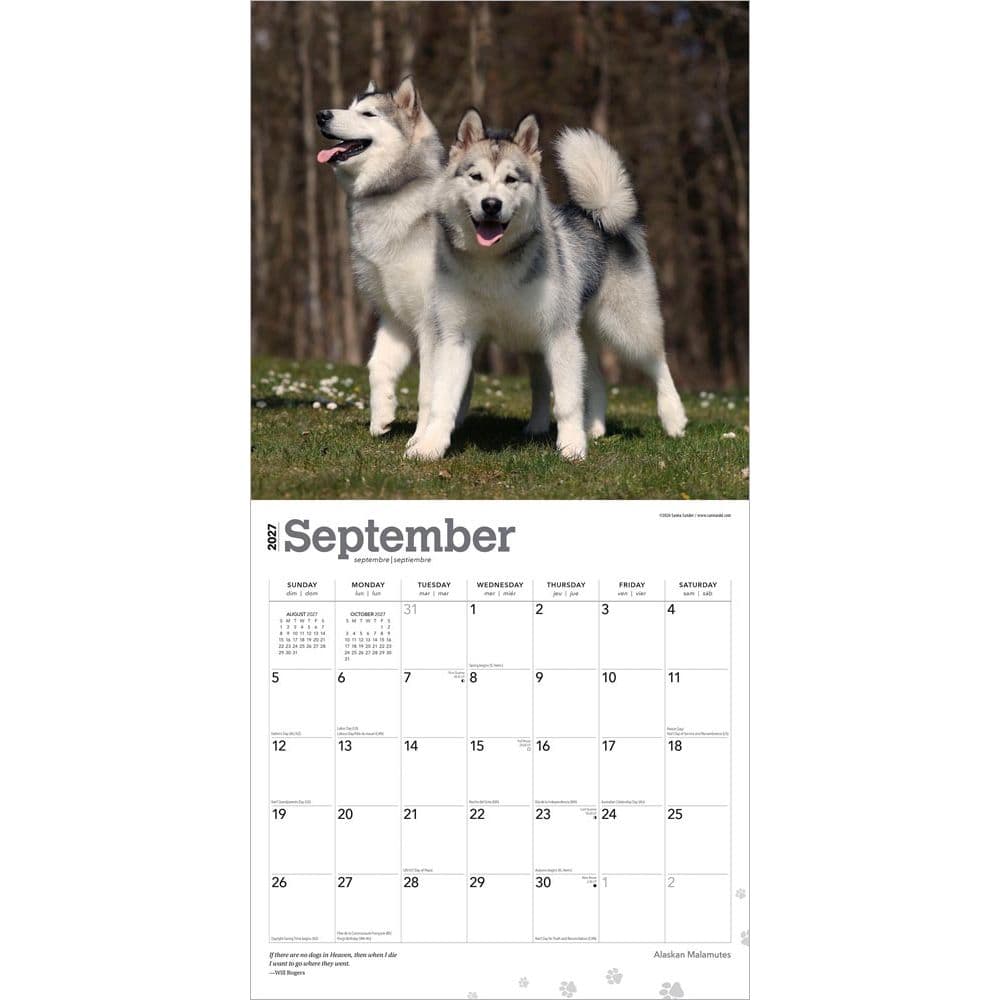 Alaskan Malamutes 2027 Wall Calendar Third Alternate Image