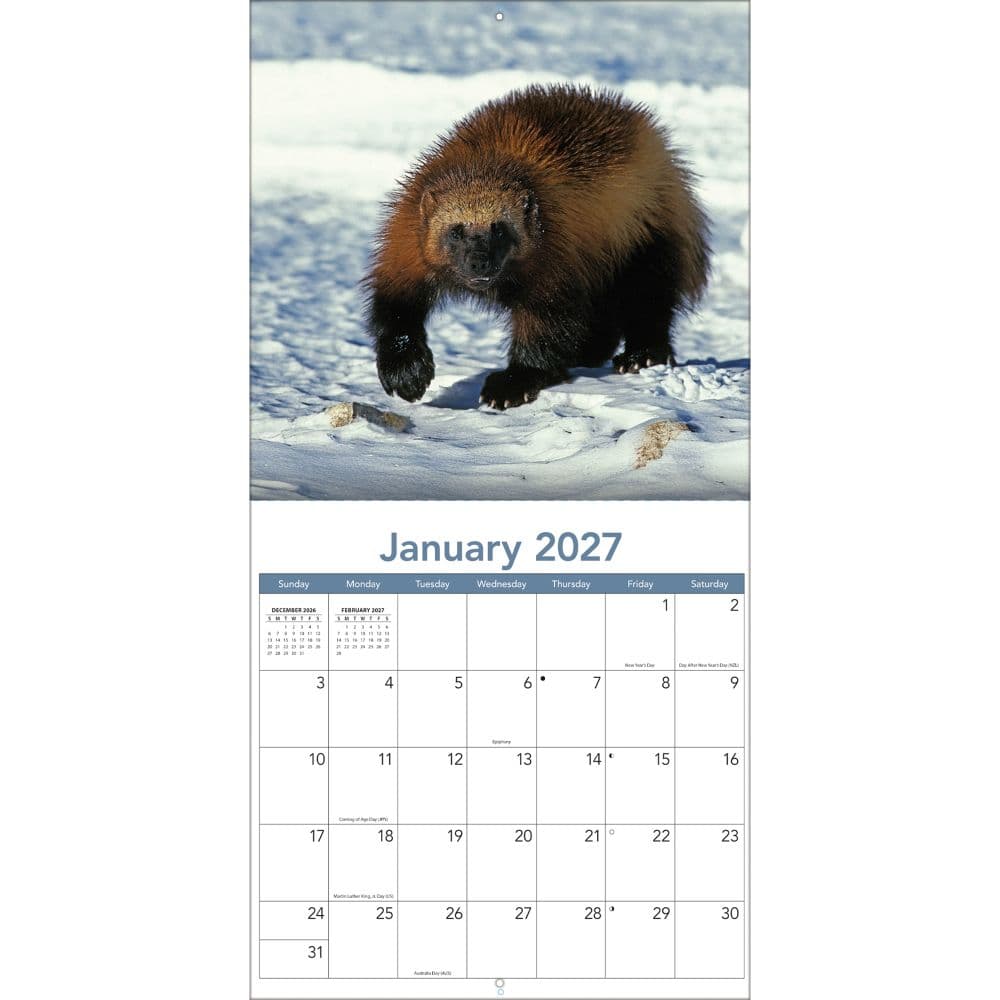 Wildlife 2027 Wall Calendar Third Alternate Image