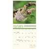 image Sloth Life 2026 Wall Calendar Second Alternate Image