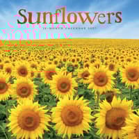 image Sunflowers 2027 Wall Calendar Main Image