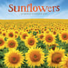 image Sunflowers 2027 Wall Calendar Main Image