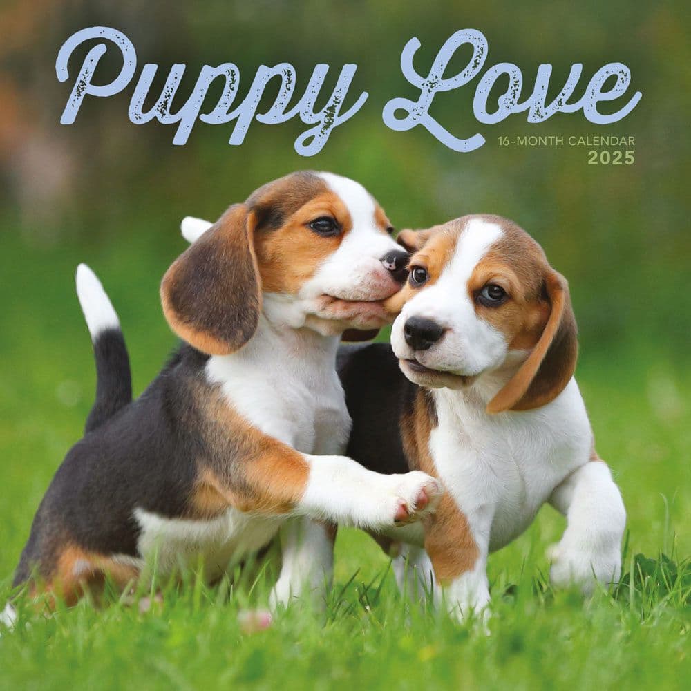 Puppy Love 2025 Wall Calendar Main Image