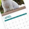 image Bichon Frise 2025 Wall Calendar Sixth Alternate Image