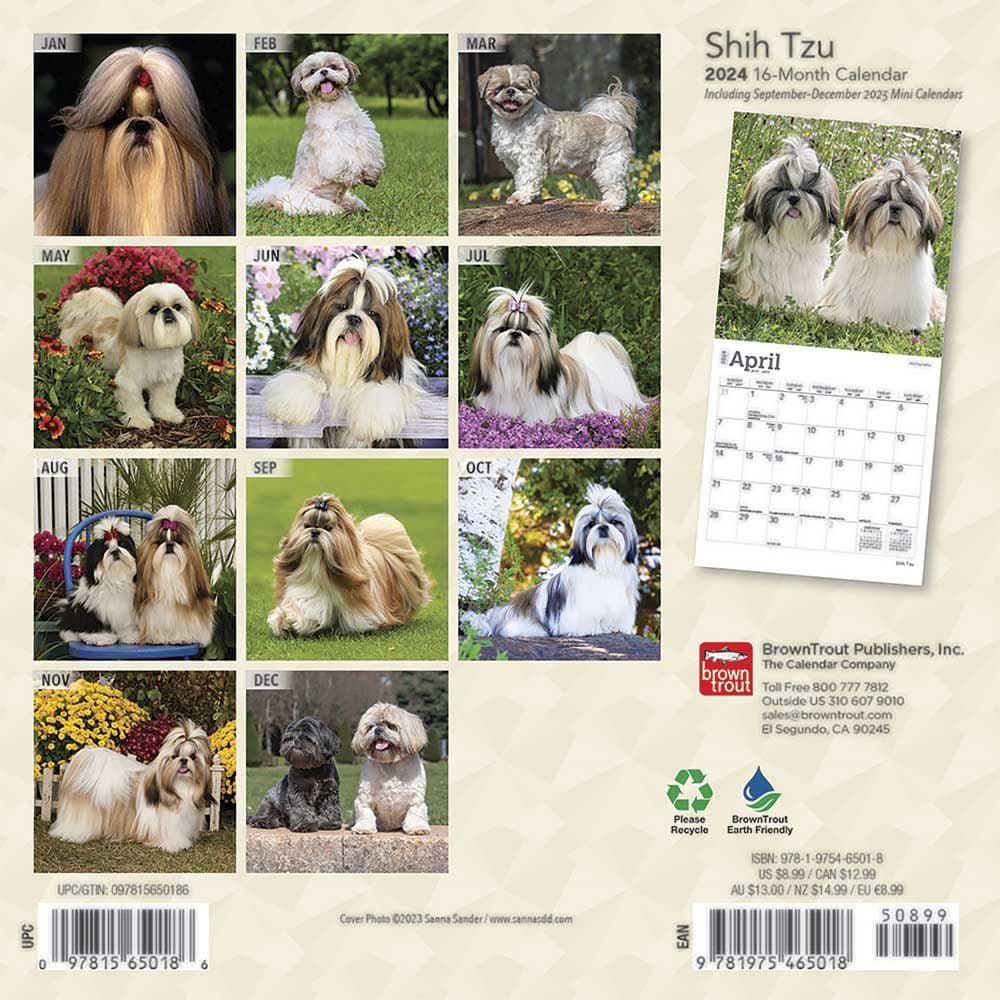 Shih Tzu 2024 Mini Wall Calendar