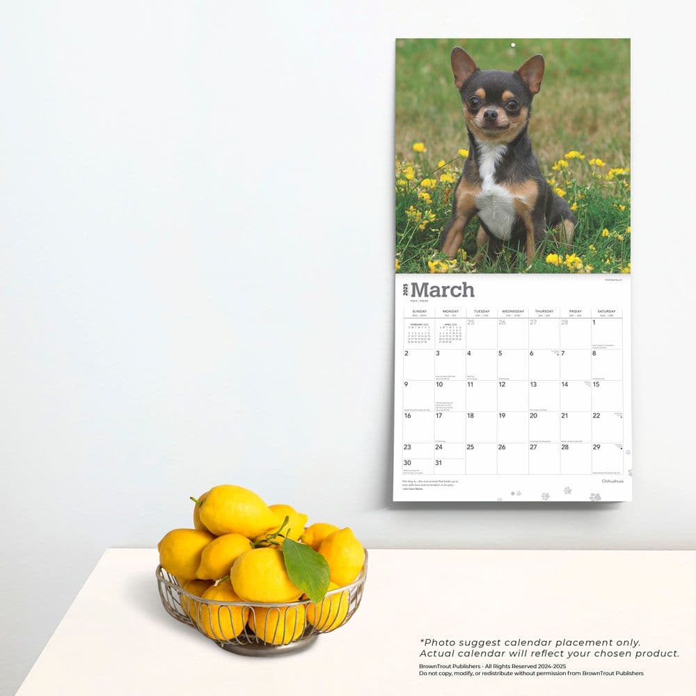 Chihuahuas 2025 Wall Calendar Third Alternate Image width=&quot;1000&quot; height=&quot;1000&quot;