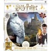 image Lenticular 3D Puzzle HP Hedwig Puzzle Main Image