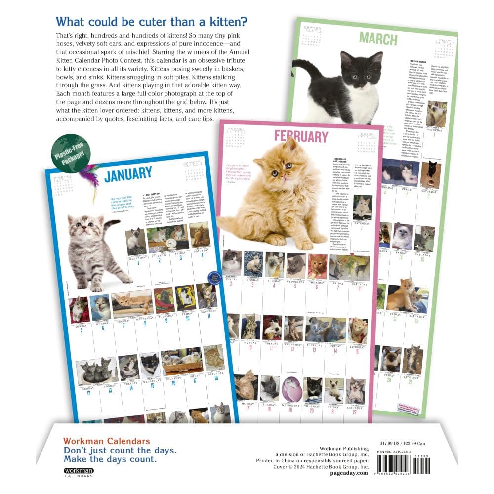 Kittens 365 Days 2025 Wall Calendar Alt3