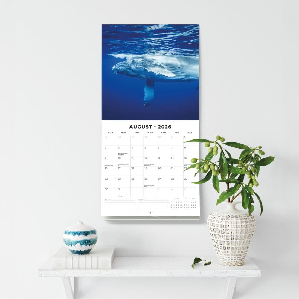 Whales 2026 Wall Calendar Third Alternate Image