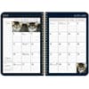 image American Cat by Lowell Herrero 2025 Spiral Engagement Planner