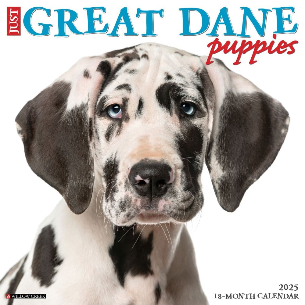 image Great Dane Puppies 2025 Wall Calendar Main Image