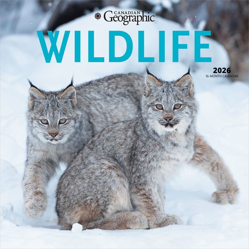Wildlife 2026 Wall Calendar Main Product Image