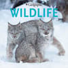 image Wildlife 2026 Wall Calendar Main Product Image