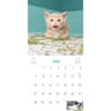 image Cats on Catnip 2024 Wall Calendar Alternate Image 3
