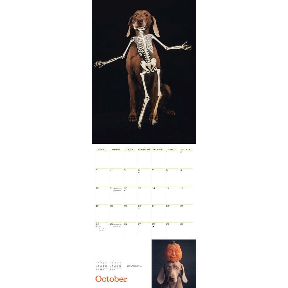 William Wegman Mans Best Friend Wall Calendar