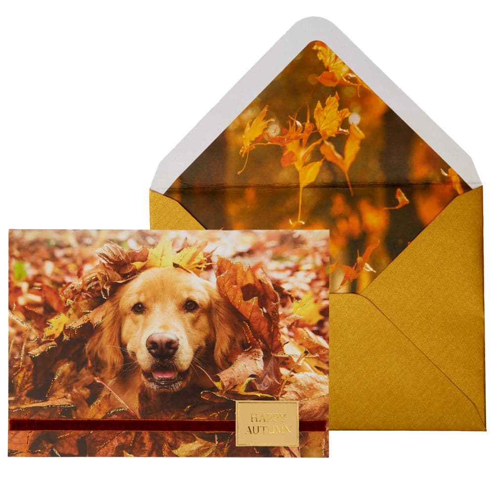 Photo Dog In Leaves Fall Card Main Product Image width=&quot;1000&quot; height=&quot;1000&quot;