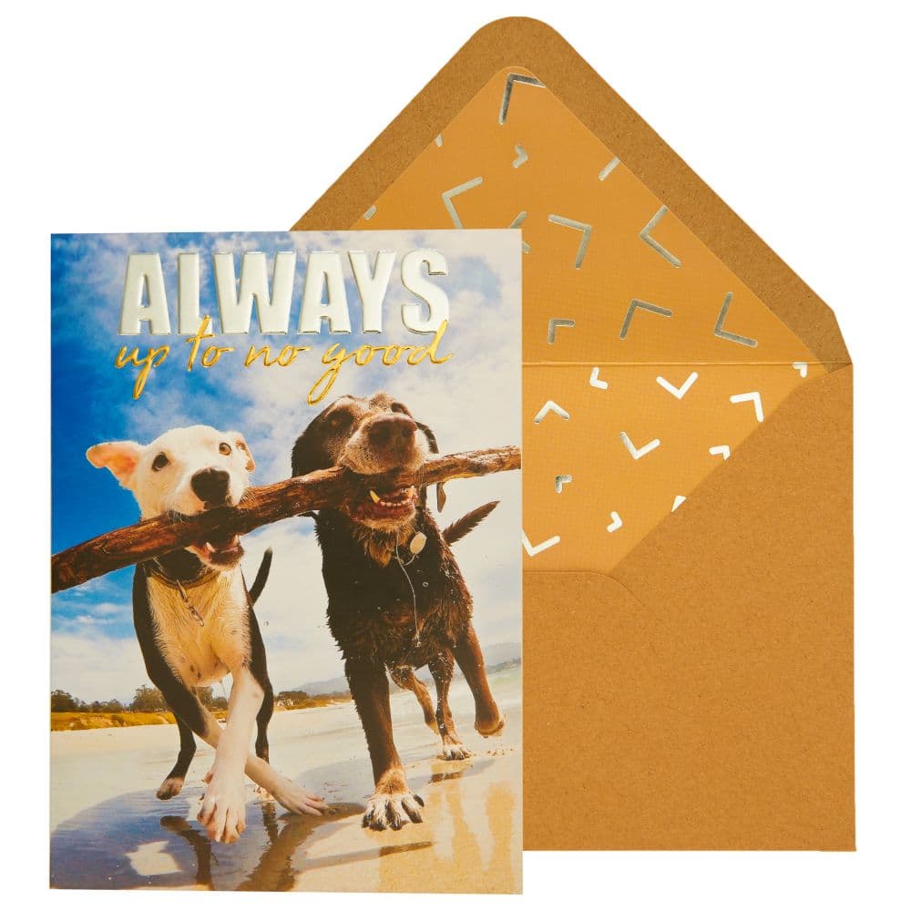 Two Dogs on Beach Friendship Card Main Product Image width=&quot;1000&quot; height=&quot;1000&quot;