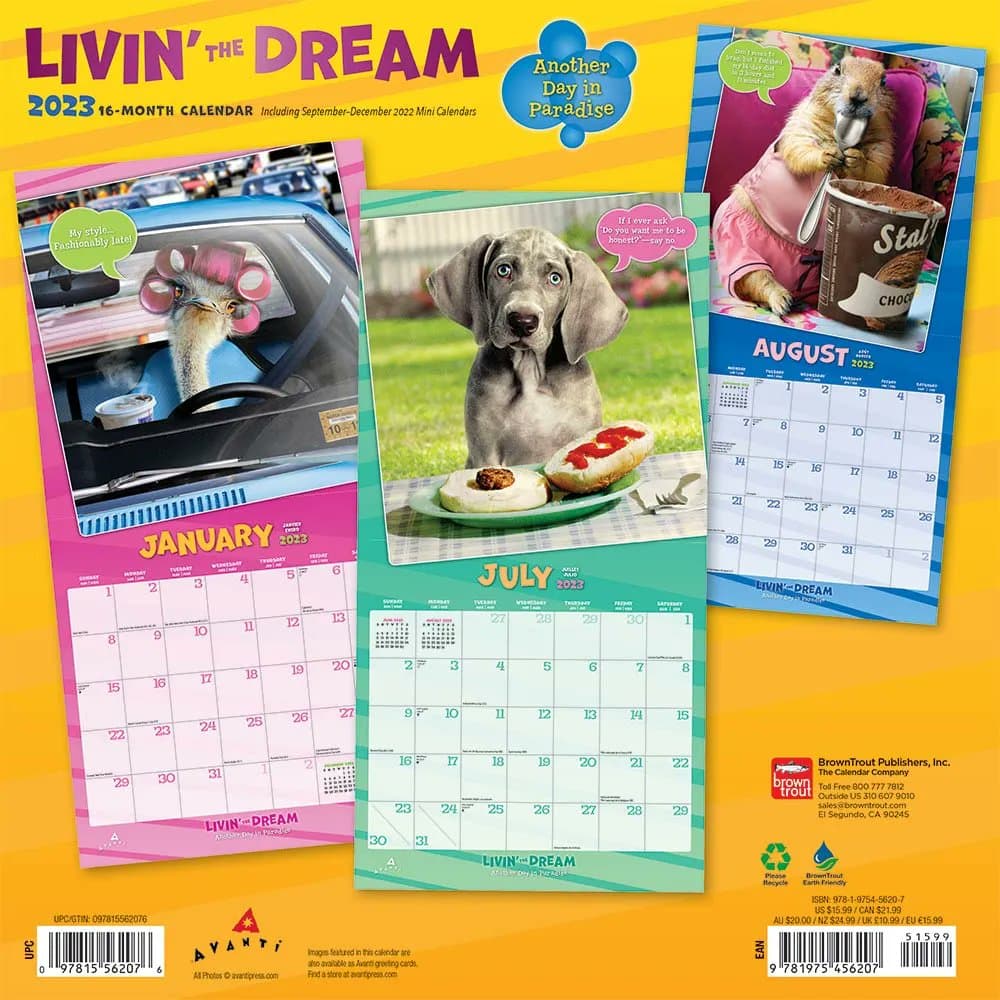 Avanti Livin the Dream 2023 Wall Calendar - Calendars.com