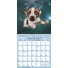 image Underwater Puppies by Seth Casteel 2024 Mini Wall Calendar Second Alternate Image width=&quot;1000&quot; height=&quot;1000&quot;