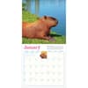 image Capybara 2026 Wall Calendar Second Alternate Image